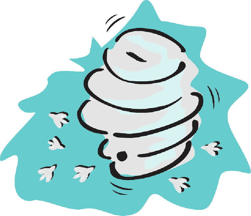 Honey, Cartoon, Bugs, Hive, Insects, Bees, Beehive - รังผึ้ง การ์ตูน Png (800x688)