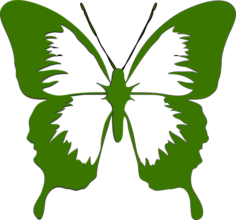 Green Butterfly Clipart 7, Buy Clip Art - Butterfly Clipart Black And White (772x720)