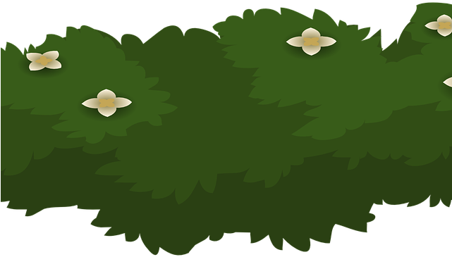 Shrub Bushes Clipart Plant Garden - Shrub (640x480)