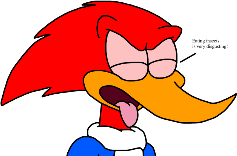 Woody's Reaction To Eat Insects By Marcospower1996 - Cartoon (1024x642)
