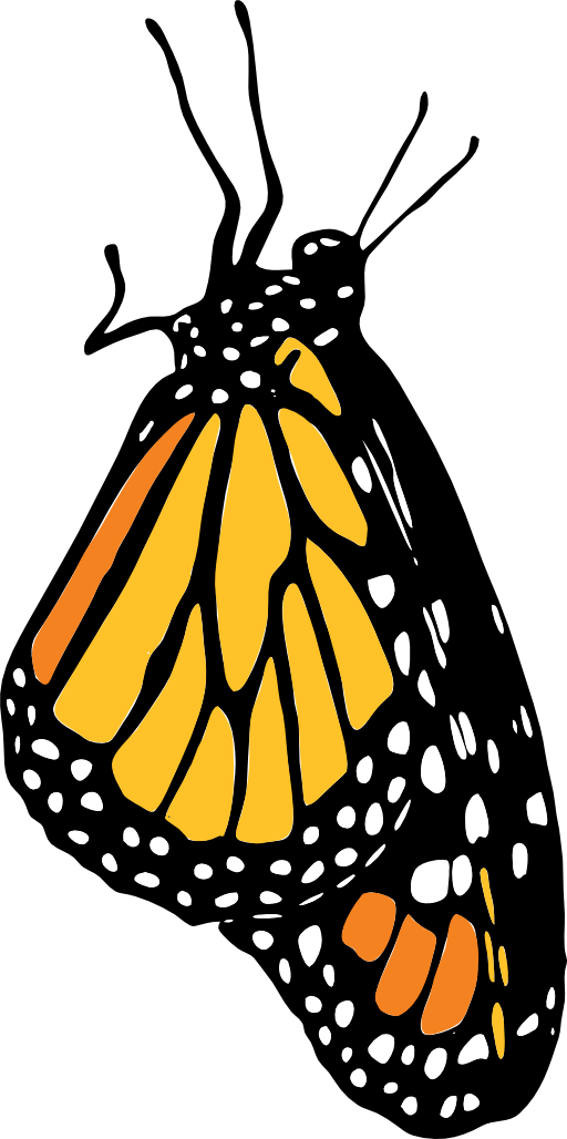 Monarch - Monarch Clip Art.