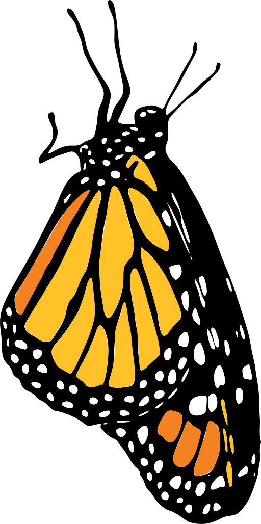 Monarch - Monarch Clip Art (512x1028)