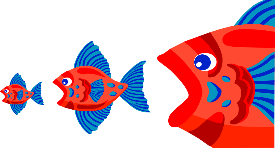 Related Keywords & Suggestions For Man Eating Fish - Fish Eating Each Other (958x517)