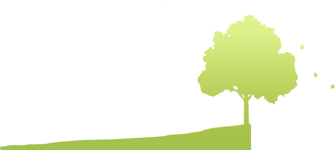 Apple Cherry Pear Plum Other Stone Fruits Species Trees - Oak (1110x528)