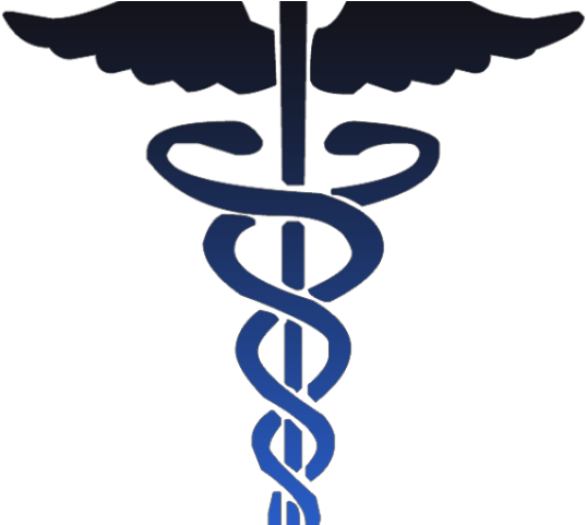 Doctor Symbol Clipart Humanities - Medicare And Medicaid Symbol (640x480)