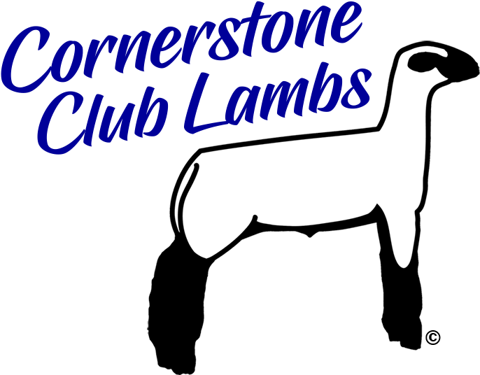 Lamb Clipart Club Lamb - Lamb Clipart Club Lamb (736x541)