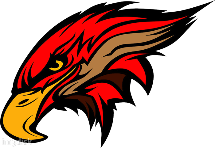 Clip Art - Falcon - Vector Graphics (700x483)