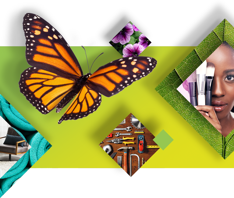 Flo® - Meaning Of A Butterfly (768x650)