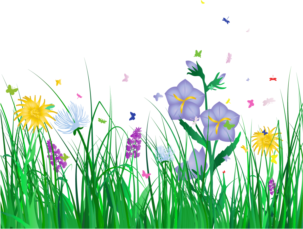 Grass Border No Background - Flowers Clipart Transparent Background (1200x926)