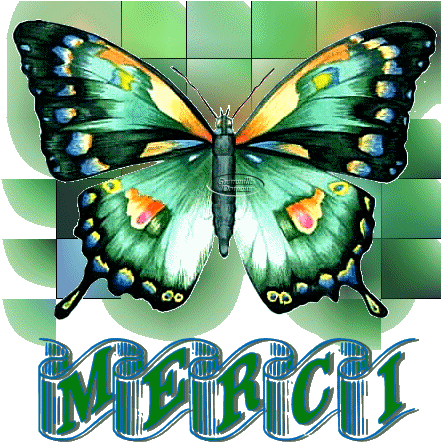 Net Orange Papillon Morning Gifs - Animated Moving Images Of Butterfly (450x450)