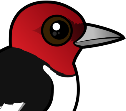 About The Red-headed Woodpecker - Red Headed Woodpecker Cartoon (440x440)