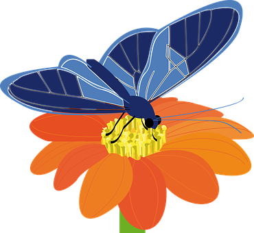Butterfly, Flower, Insect, Plant, Blue - Butterfly On Flower Clip Art (370x340)
