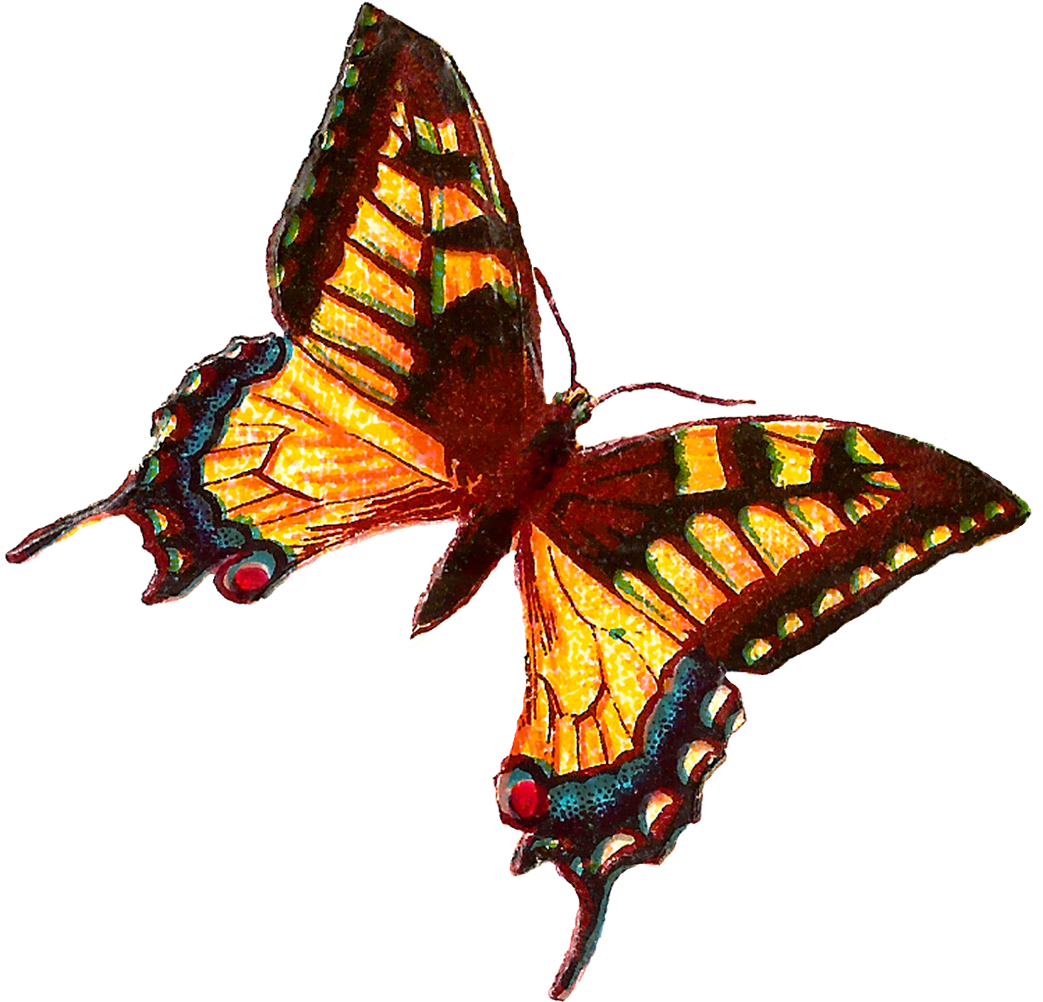 Yellow Butterfly Images - Butterfly (1600x1546)