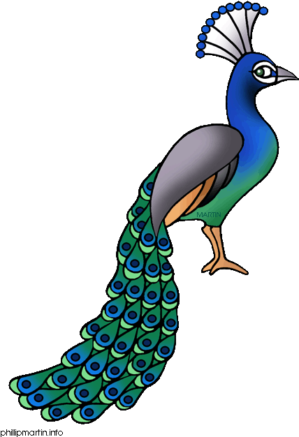 Peacock Clipart - Peacock Images Clip Art (460x648)