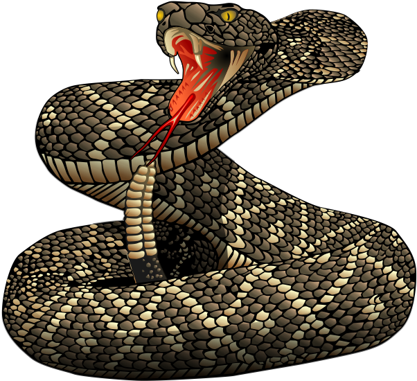 Rattlesnake Clipart Snake Mask - Rattlesnake Png (640x592)