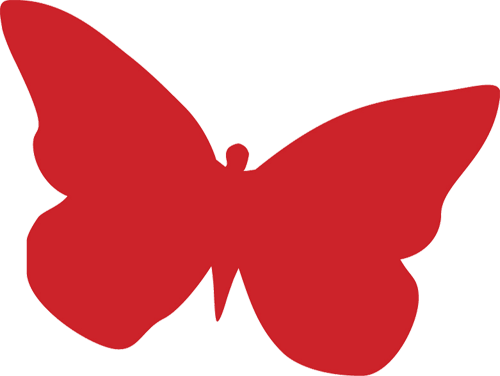 Images New, Ox-62, Butterfly On The Rocks - Toronto Zoo (500x376)