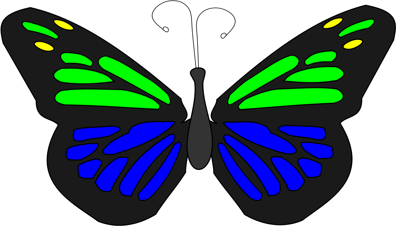 Butterfly Animation - Portable Network Graphics (1800x2400)