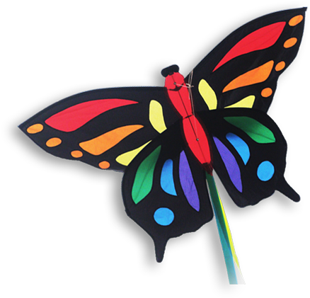 16344 Tropical Butterfly Papillon Vlinder - Didakites Tropical Vlinder M (600x422)