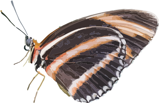 Butterfly, Apples Free Dryadula Phaetusa - Blaue Schmetterlings-blumen-kunst Keramik Ornament (566x800)