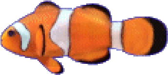 Clownfish Clipart Butterfly Fish - Fish Moving Animated Gif (821x200)