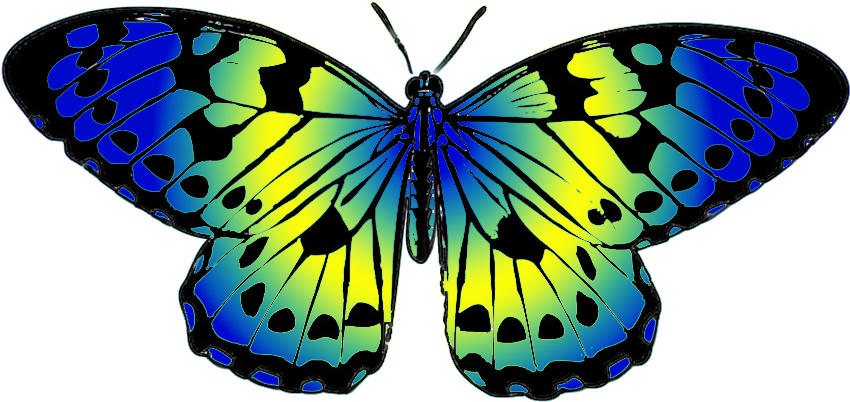 Clipart Of Butterfly, Butterfly And And Butterfly In - Yellow And Blue Butterfly (893x591)