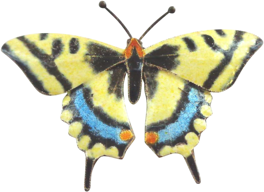 Enamel On Sterling Silver Swallowtail Butterfly - Lycaenid (854x854)