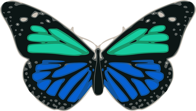 Blue, Butterfly, Turquoise, Colors, Wings, Insect, - Black And Blue Butterfly Shower Curtain (640x364)