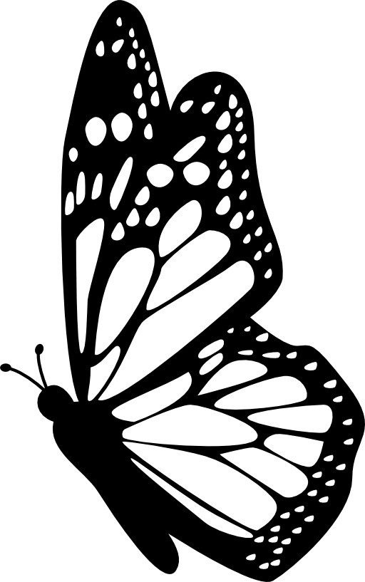 Profile Clipart Butterfly Pencil And In Color Profile - Butterfly Drawing Side View (512x817)