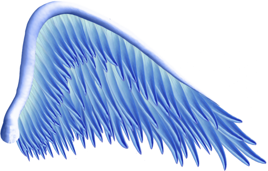 Angel - Blue Angel Wings Png (900x573)