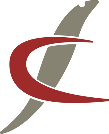 Who We Are - Flying Carpet Express Forwarding & Clearing (llc) (355x435)