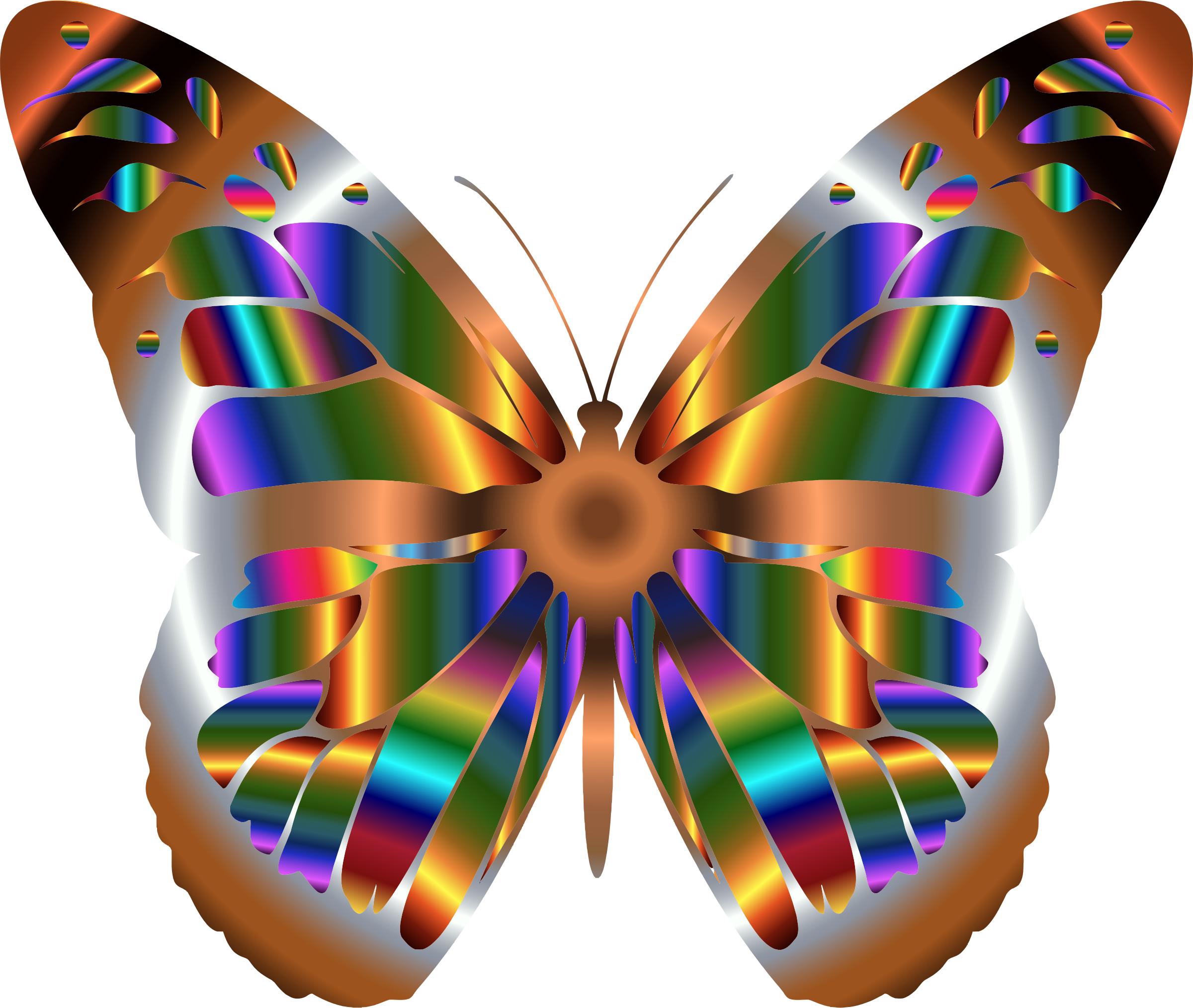 See Here Butterfly Clipart Black And White Outline - Real Rainbow Monarch Butterfly (2400x2028)
