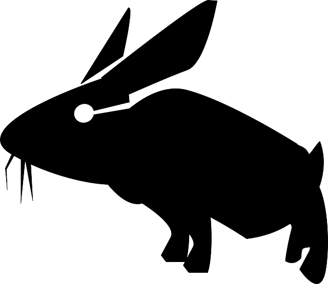 Rabbit, Hare, Bunny, Animal, Mammal, Silhouette - Therabit - Baseball T-shirt T Shirt (640x555)