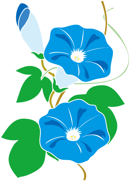 Clip Art イラスト 朝顔 456x633 Png Clipart Download Clip Art イラスト 朝顔 456x633 Png Clipart Download