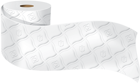 Toilet Paper Png - Quilted Northern Toilet Paper (505x300)