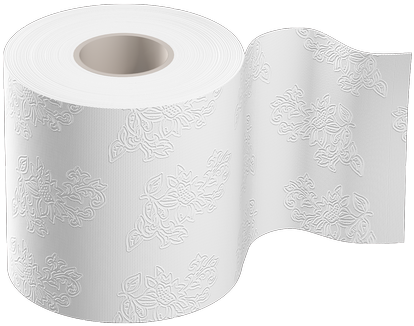 Toilet Paper Png - Туалетний Папір (500x438)