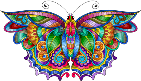 Pictures Of Colorful Butterflies Copy Colorful Butterfly - Most Colourful Butterfly In The World (479x281)