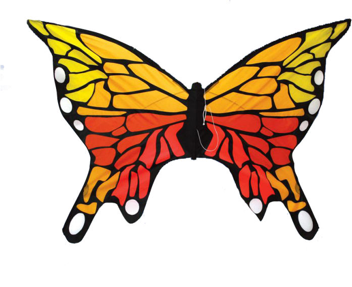 Image Of Monarch Butterfly Kite - Skydog Kites Monarch Butterfly 47 10043 (728x631)