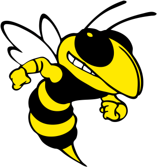 Wasp - Edcouch Elsa Yellow Jackets (350x350)