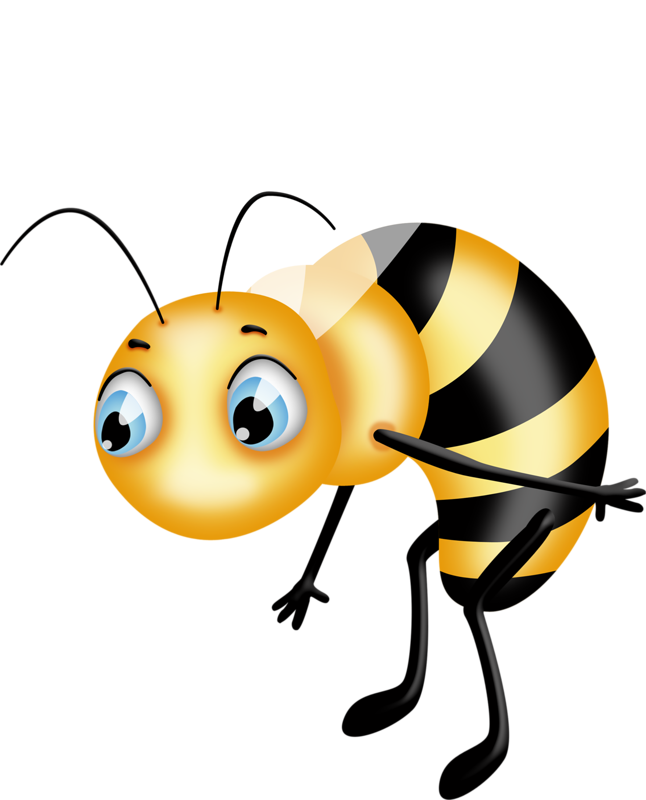 Clip Art - Bee (646x800)