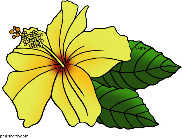 Hawaiian Flower Clip Art - Phillip Martin Clipart Flower (648x490)