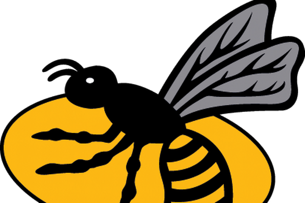 "no Further Action Required" After Tabloid's Debauchery - London Wasps Logo (615x409)