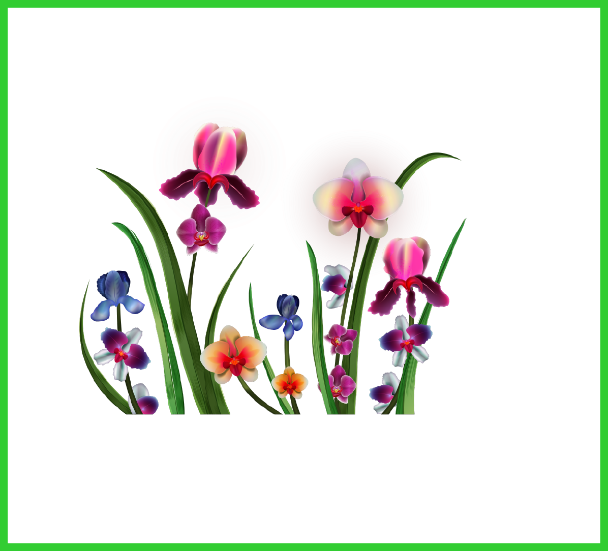 Unbelievable Kolibri Png Klipart Pic For Orchid Logo - Moth Orchid (1196x1084)
