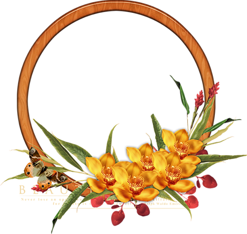 Orchids Frames - Flower Round Stroke Png (500x473)