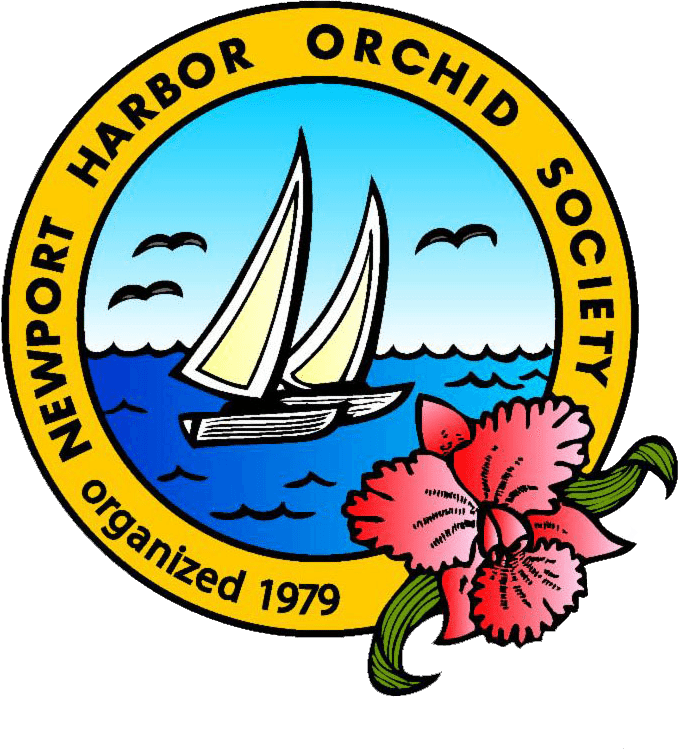Newport Harbor Orchid Society - Logo Università Di Foggia (678x749)