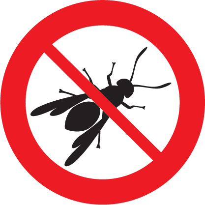 While A Hive Of Bees Is A Less Aggressive Neighbour - Angel Tube Station (417x417)