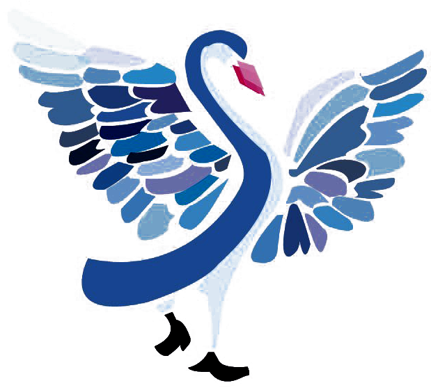 Swan Graphic Design Animal Shape - Vector Graphics (701x680)