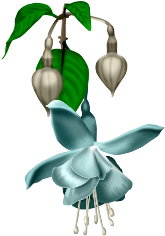 Image Du Blog Mamietitine - Clip Art (331x500)