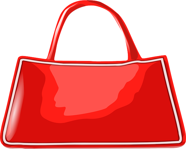 Leather Red, Hand, Cartoon, Bags, Shoe, Shoes, Bag, - Women Bag Vector Png (640x513)