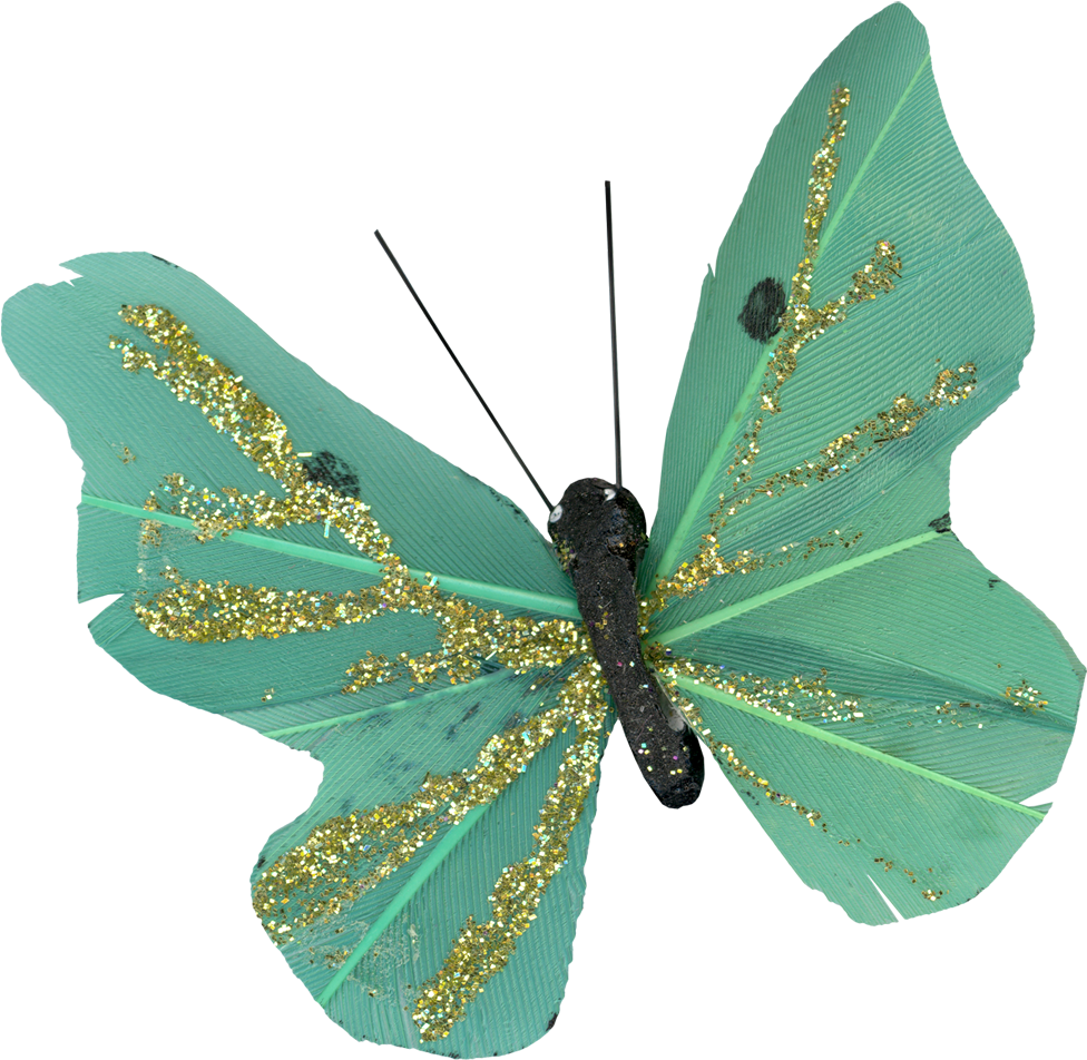 Http - Lycaenid (1000x968)