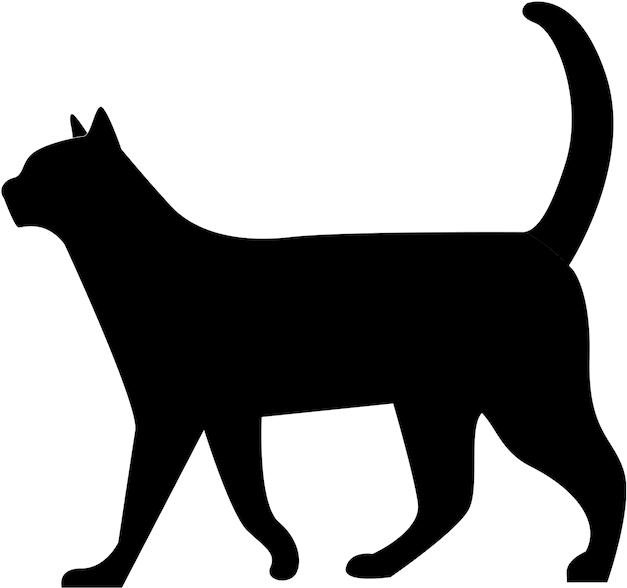 Invisible Lioness - Black Cat Walking Silhouette (800x800)